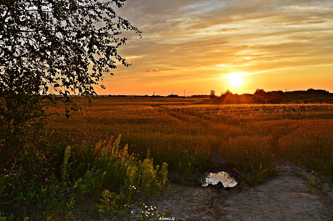 город Галич (6)