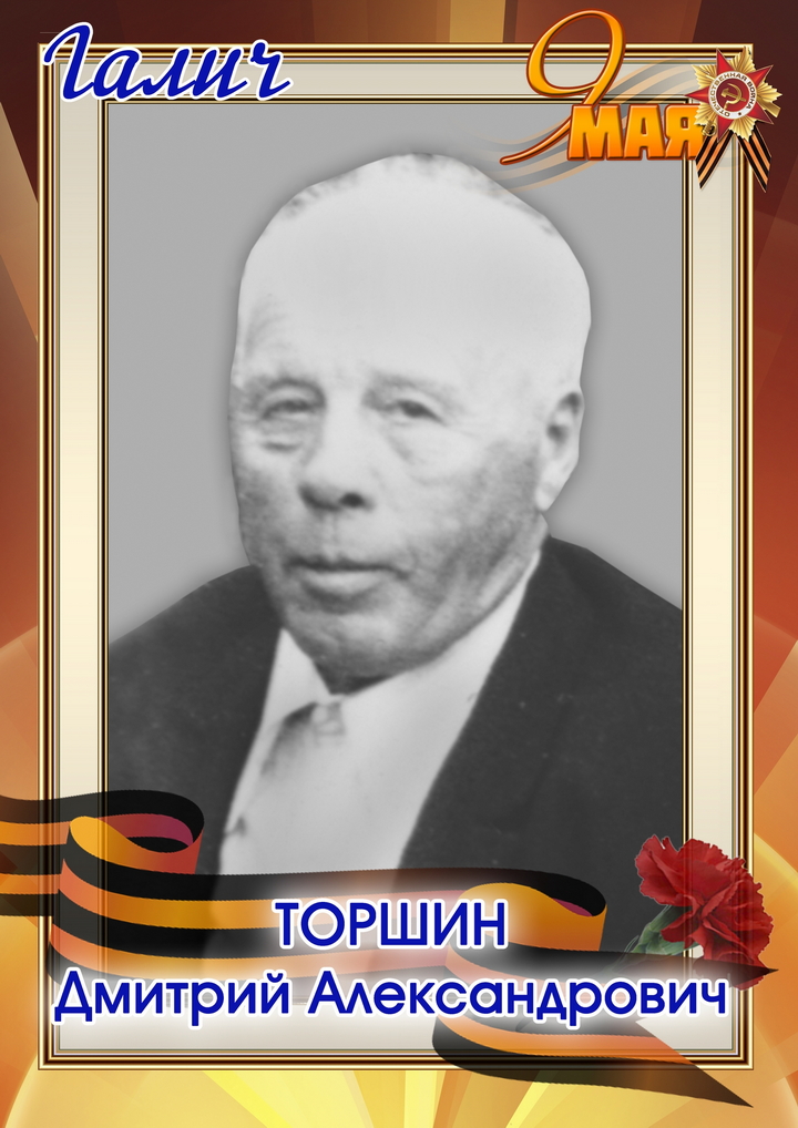 Торшин Дмитрий Александрович