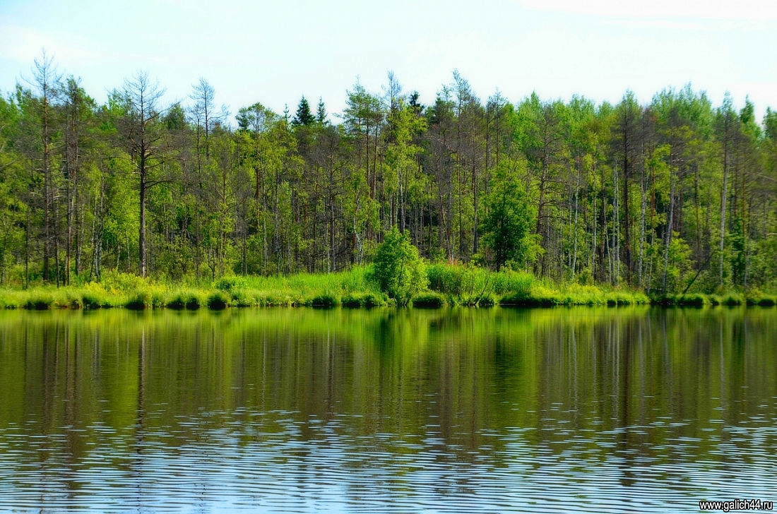 Леонтьевское озеро Костромская область Галичский район