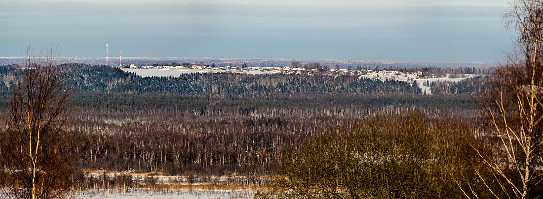 Вид от Льгово на деревню Мелешино