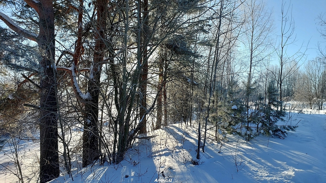 Галич. Лисья гора (3)