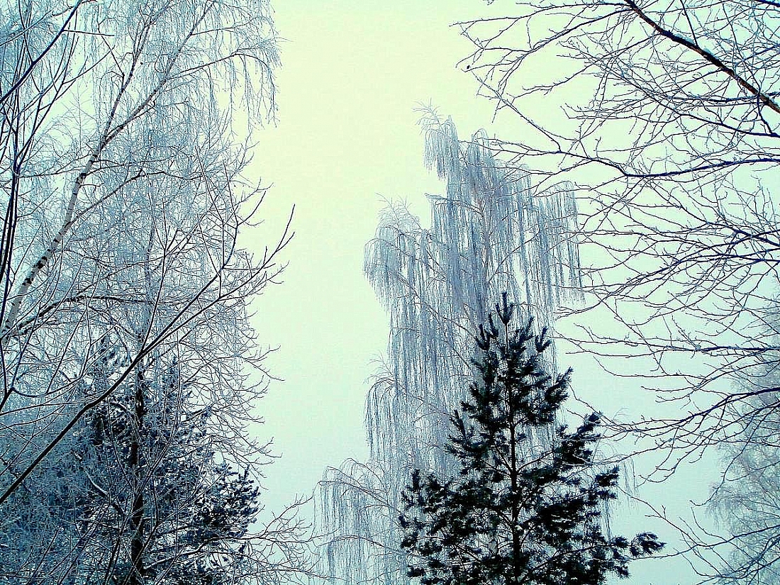 Мой фотоэтюд "Синий, синий иней....."