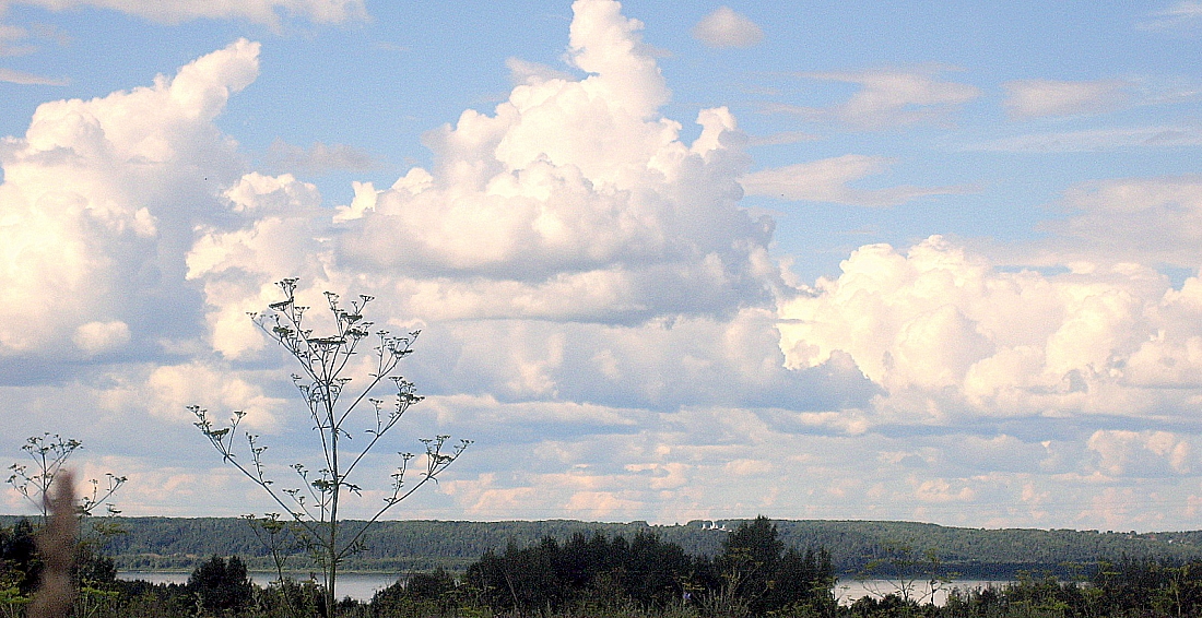 Полдень.