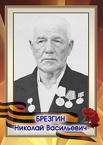 Брезгин Николай Васильевич