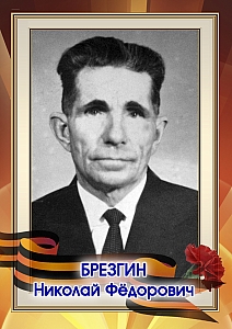 Брезгин Николай Федорович