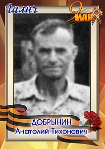 Добрынин Анатолий Тихонович