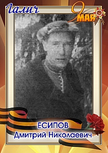 Есипов Дмитрий Николаевич
