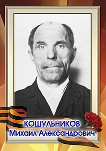 Кошульников Михаил Александрович