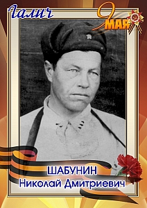 Шабунин Николай Дмитриевич