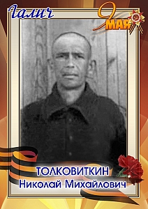 Толковиткин Николай Михайлович