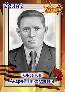 Торопов Андрей Николаевич