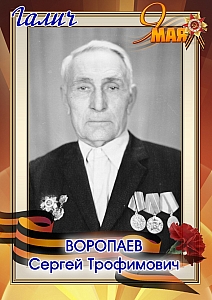 Воропаев Сергей Трофимович