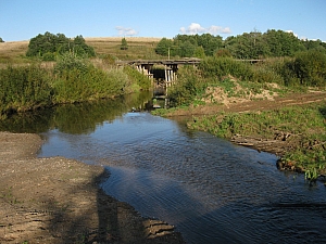река Чёлсма в районе села Богородское