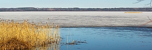 Галичское озеро - апрель 2023