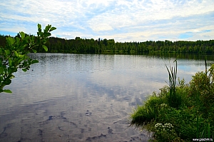 Леонтьевское озеро Галичский район