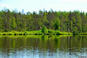 Леонтьевское озеро Галичский район