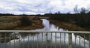 река Тёбза Галичский район
