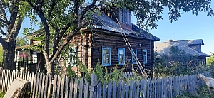 Деревня Цибушево