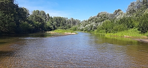 река Ноля рядом с деревней Цибушево