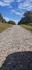 дорога между Григорово и Новиково