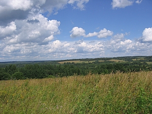 Вид из Цибушево на Чмутово.