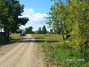 Деревня Дмитриевское Галичский район