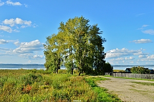 Дорога к площадке на месте старой пристани. Галичское озеро